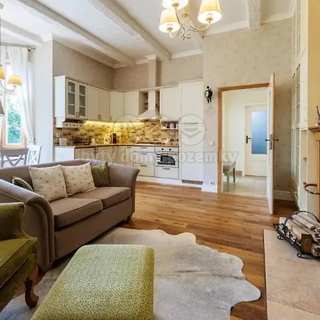 U Kamina Fireplace Mariánské Lázně