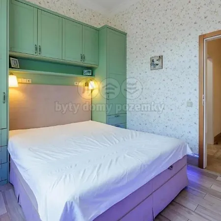 U Kamina Fireplace * Mariánské Lázně